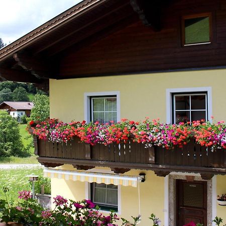Appartement Gleiminger Forstau  Exteriör bild